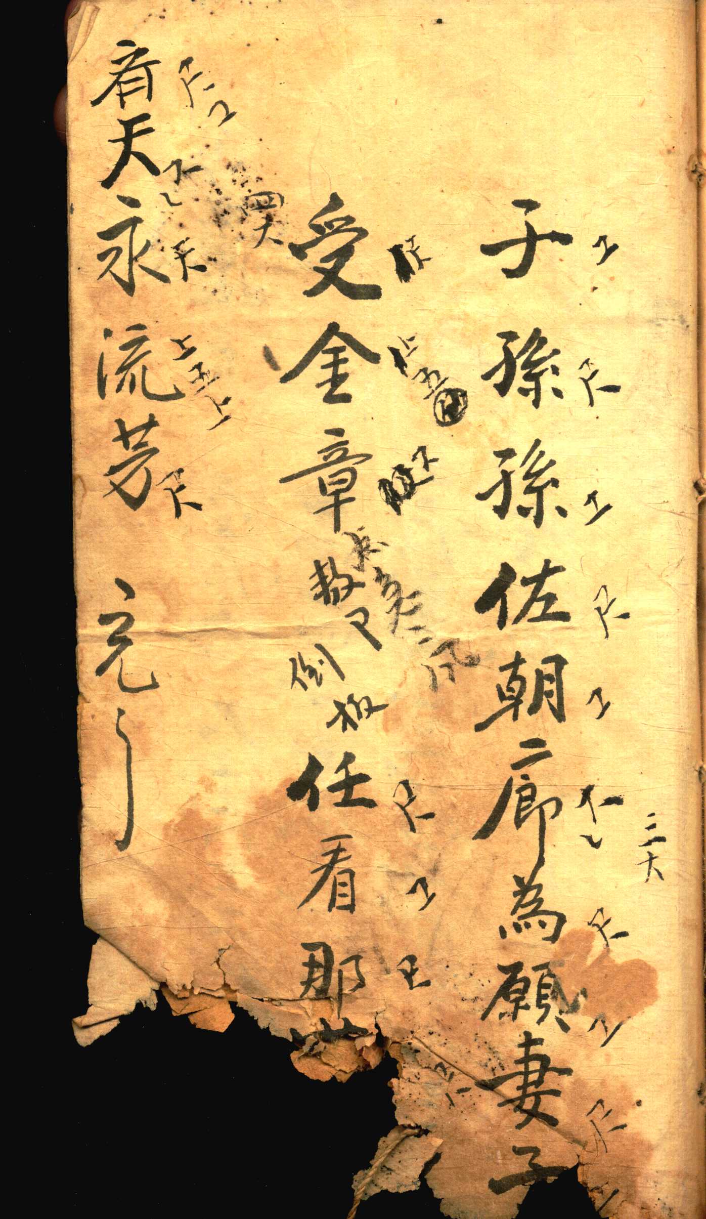 对花 (17).jpg