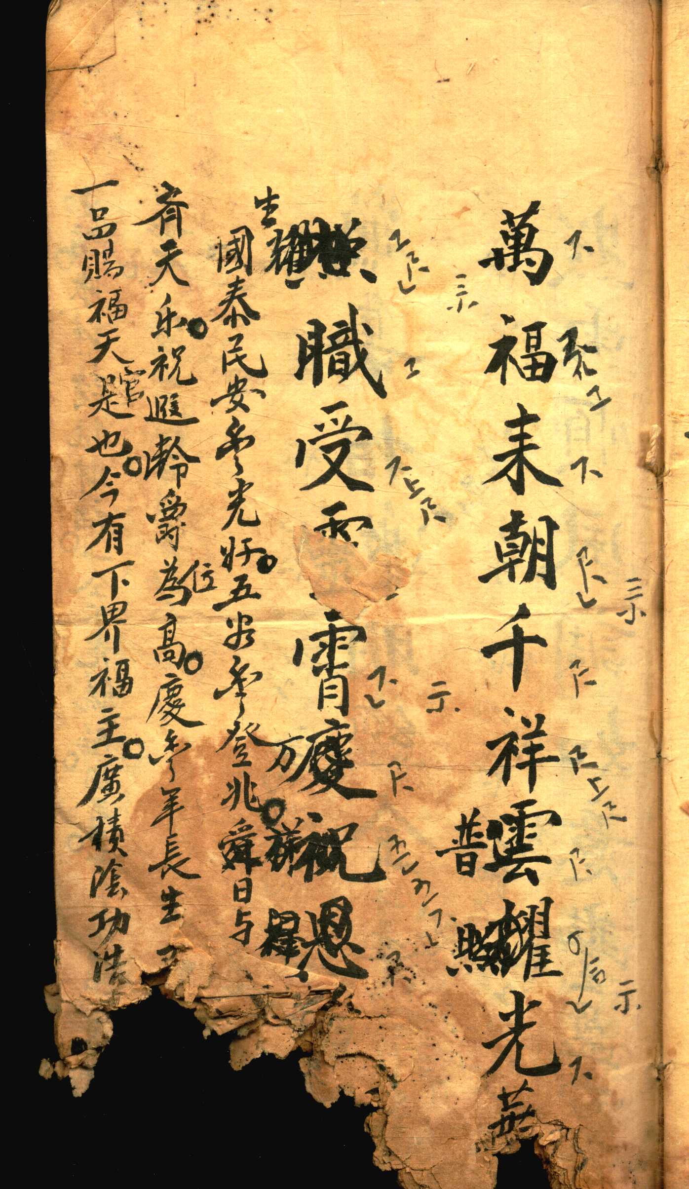 对花 (5).jpg