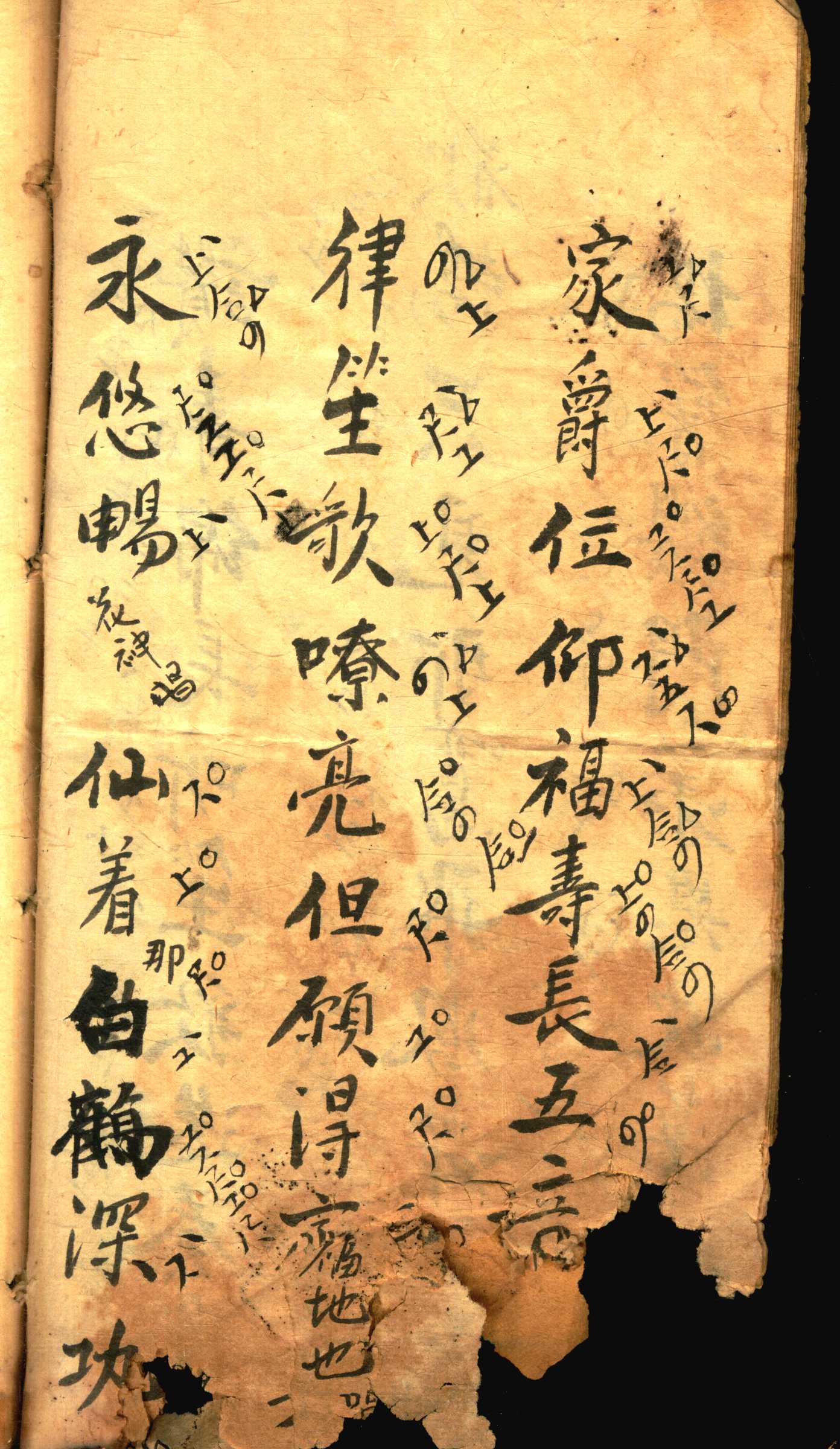 对花 (12).jpg