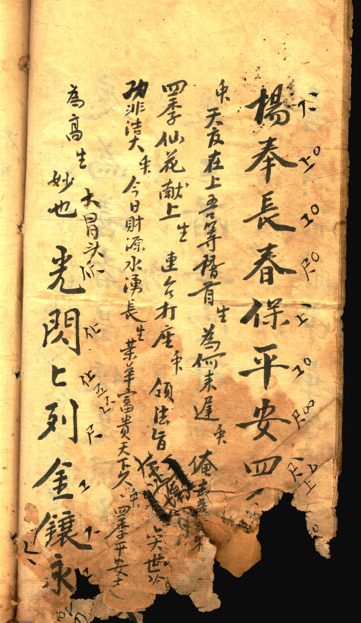 对花 (14).jpg
