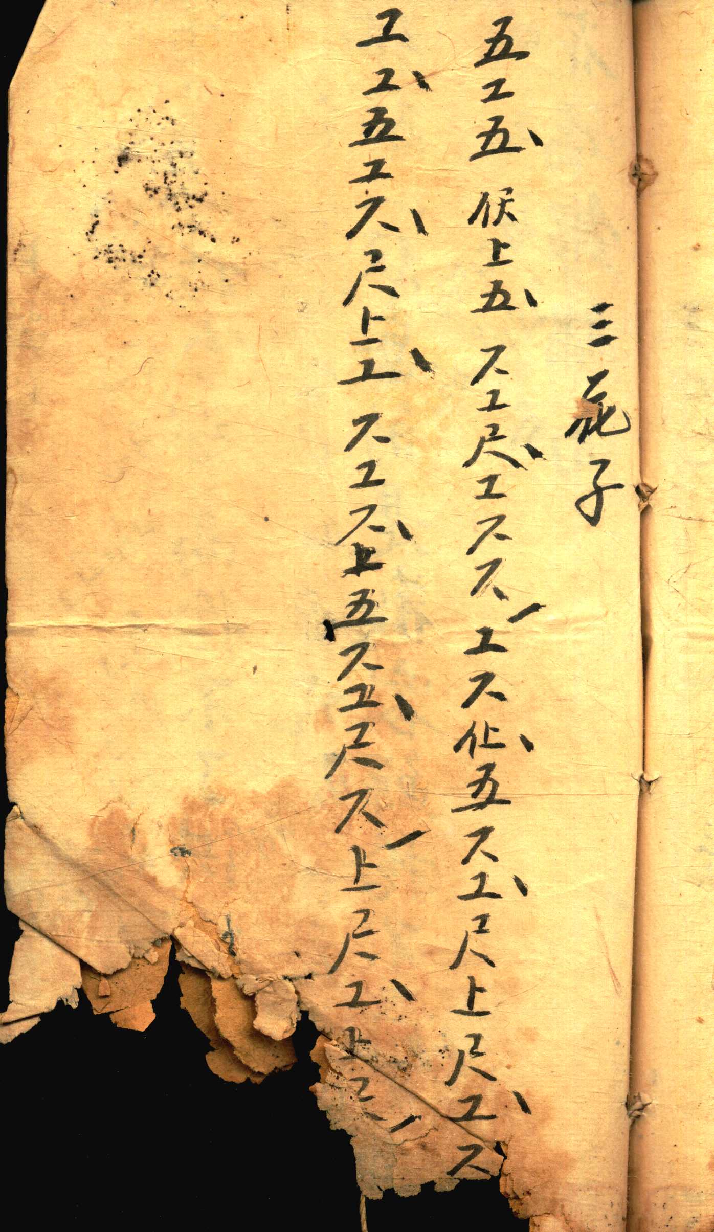 对花 (19).jpg