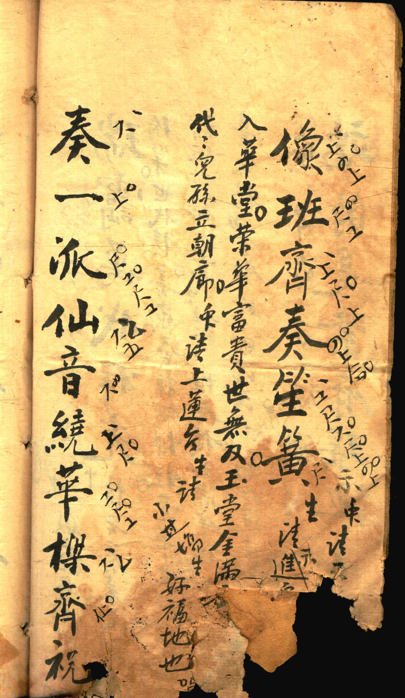 对花 (10).jpg