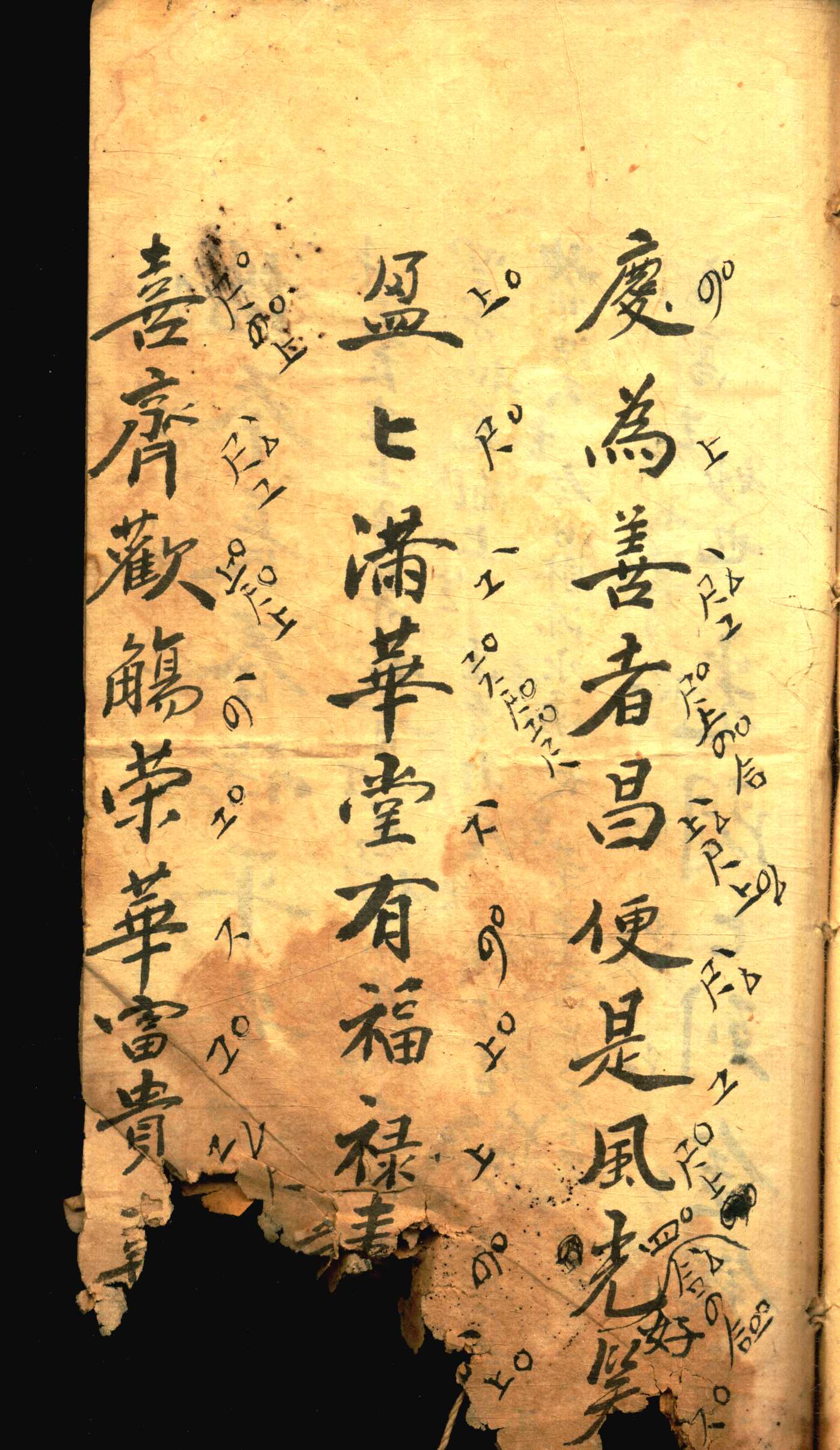 对花 (13).jpg