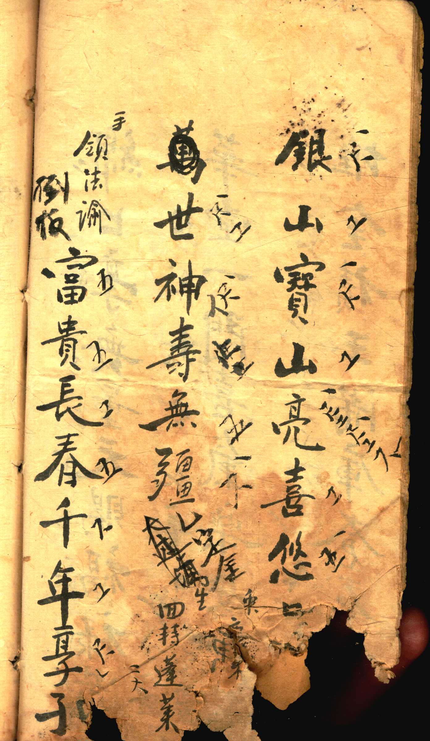 对花 (16).jpg