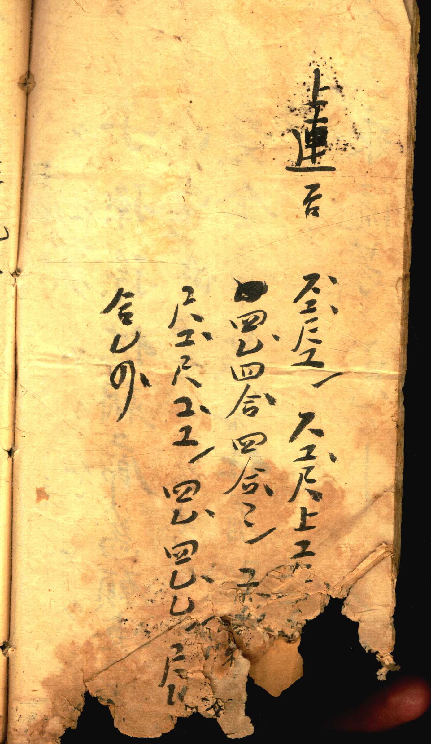 对花 (18).jpg