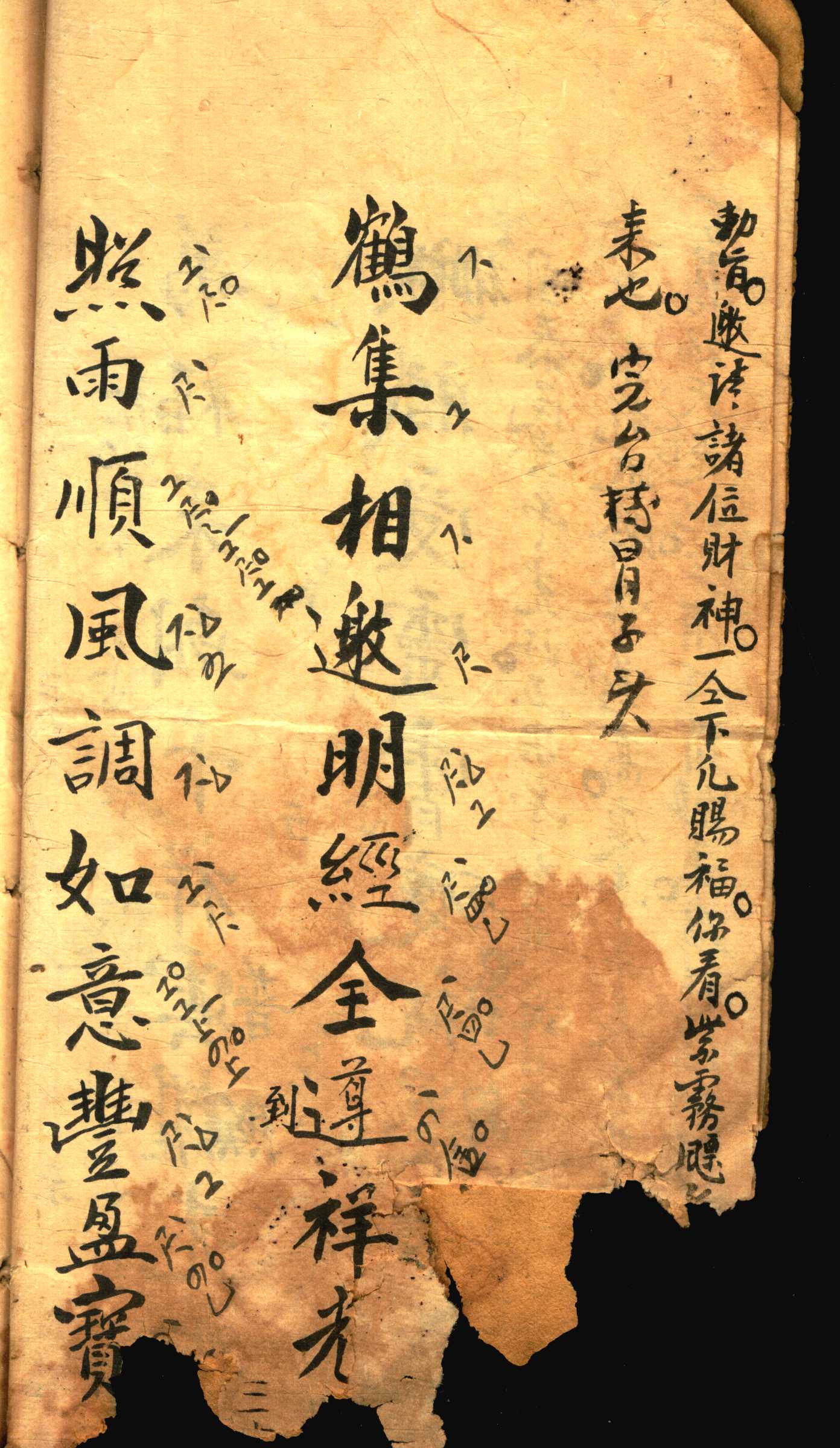对花 (6).jpg
