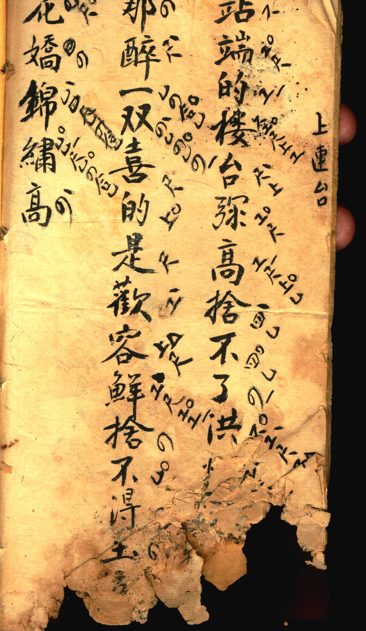对花 (20).jpg