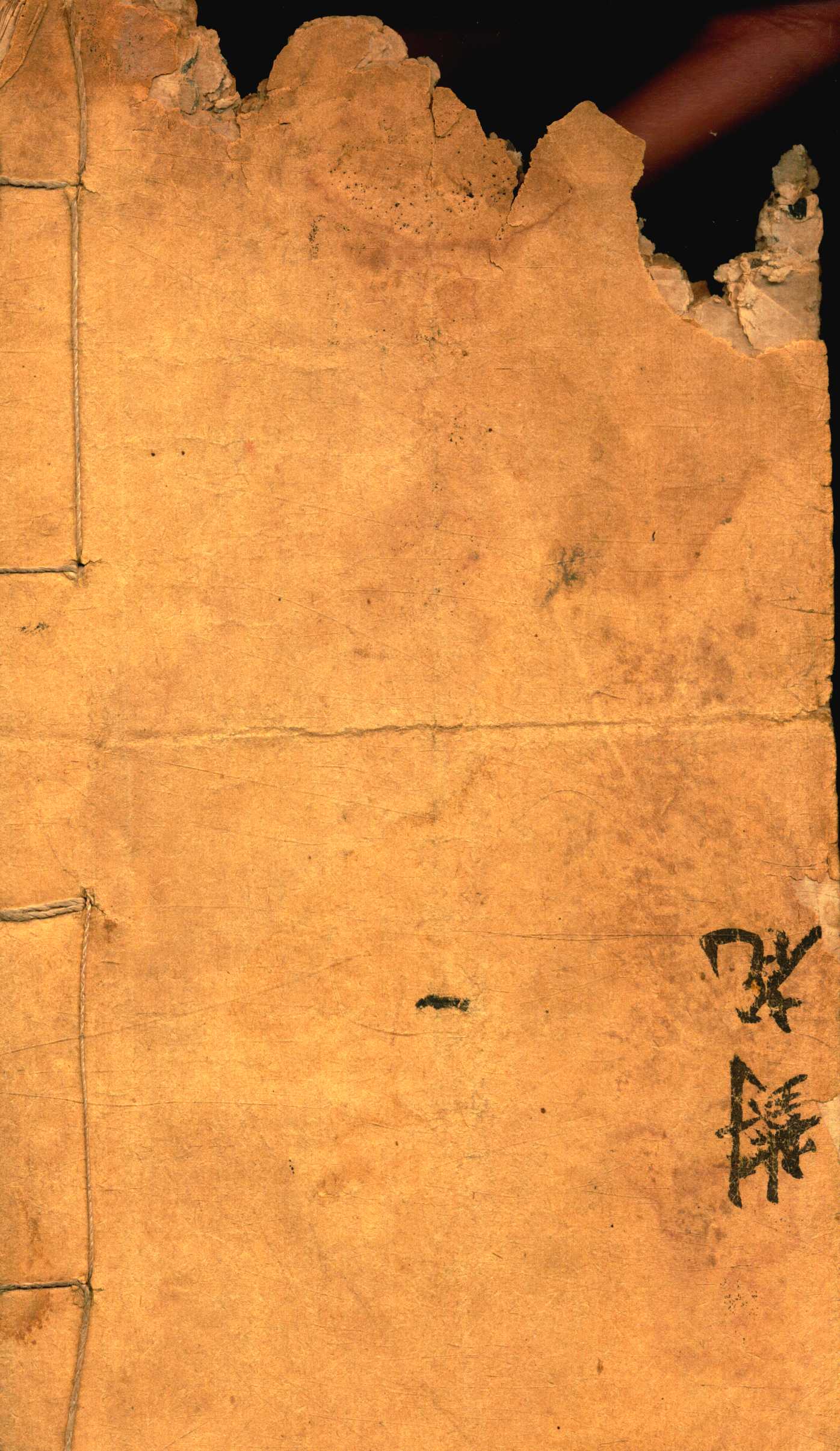 对花 (1).jpg