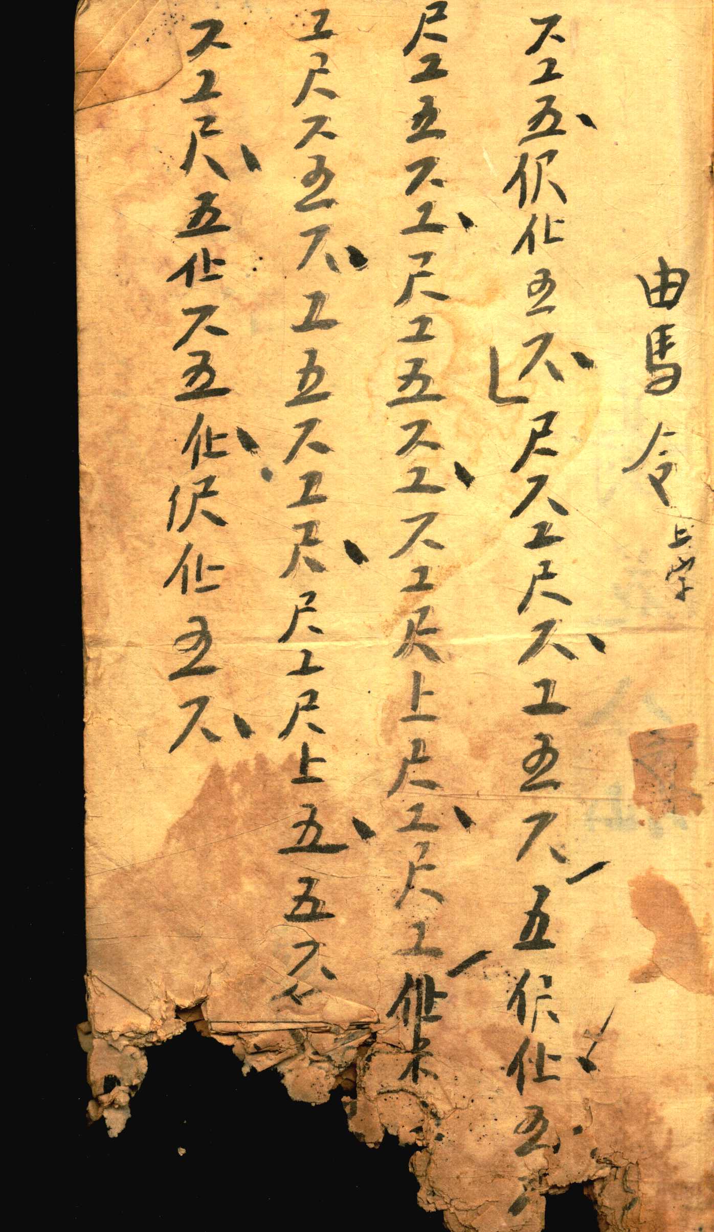 对花 (3).jpg